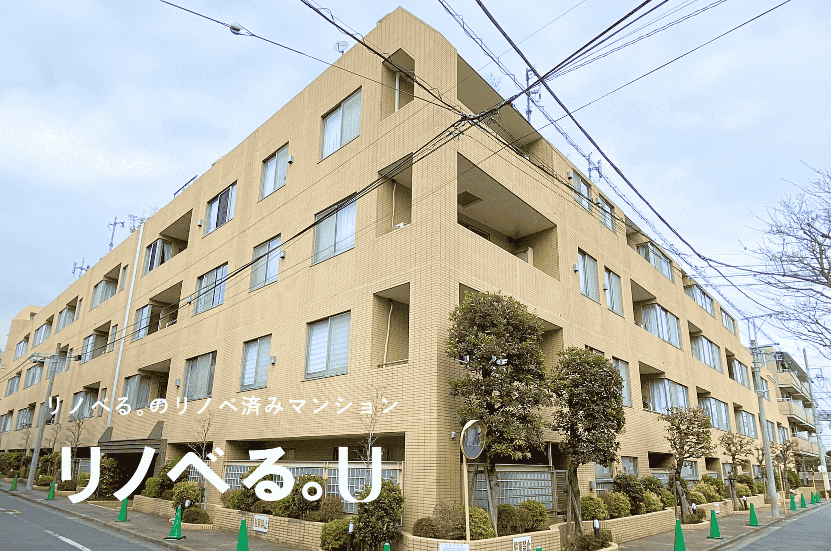 サンフル碑文谷碑さくら通りSOUTH SIDE_外観