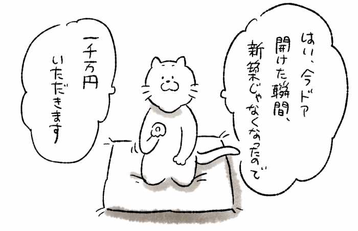 座布団に座る猫