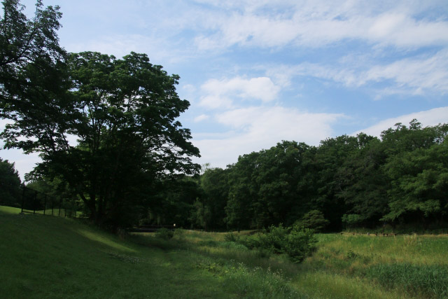 119_野川公園