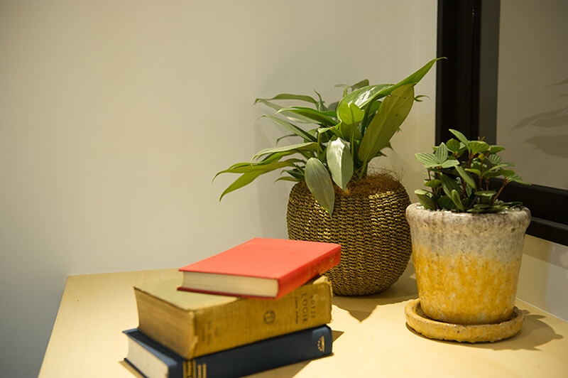 本と観葉植物