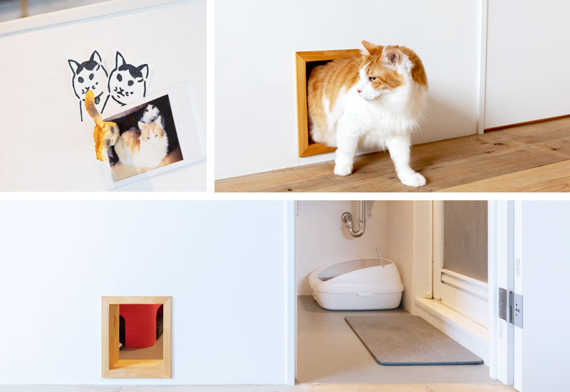 キャットウォークのあるおうちのイメージ画像