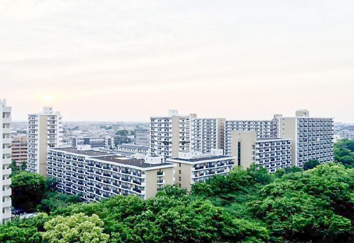 複数の棟が建ち並ぶ団地