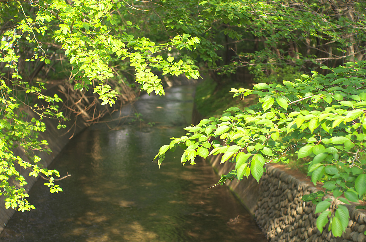64玉川上水