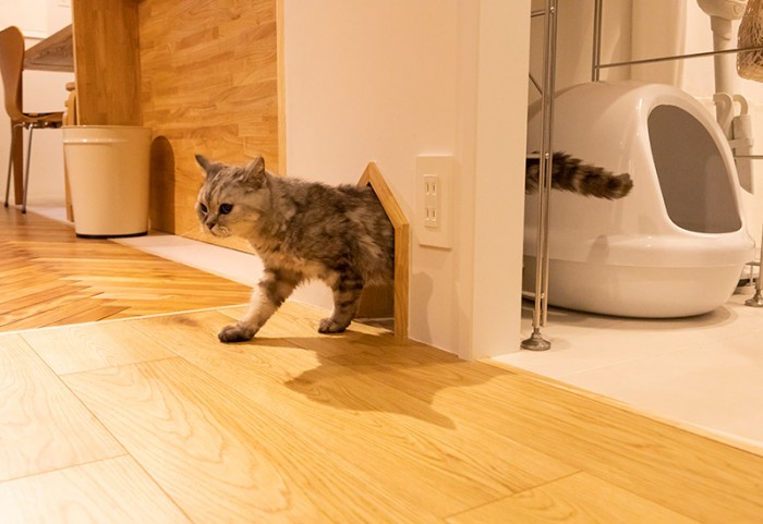 猫ちゃん専用の出入り口のあるリノベーションした洗面スペース