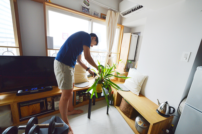 観葉植物とインナーテラス