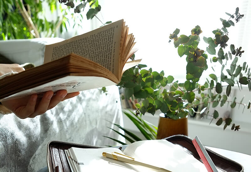 観葉植物があるリノベーションされた部屋で本を読む女性とテーブルに置かれた手帳
