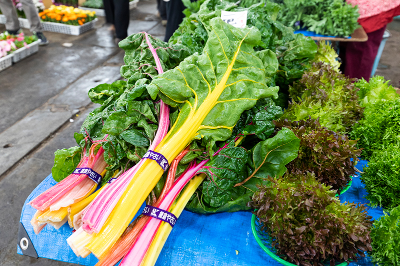 市場の鎌倉野菜