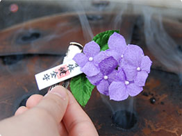引用元：http://www.otorisama.jp/ikiiki-ajisai/
