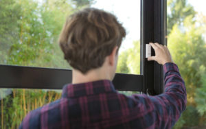 tags_window