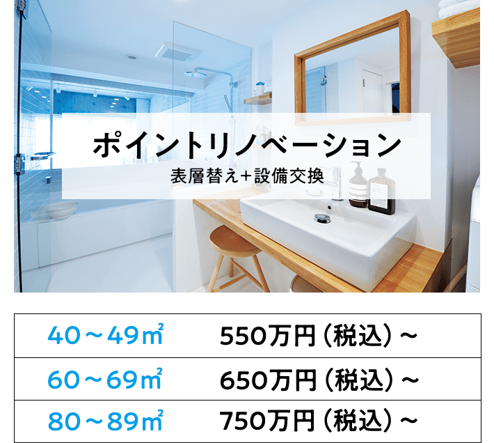 ポイントリノベーション（表層替え＋設備交換）