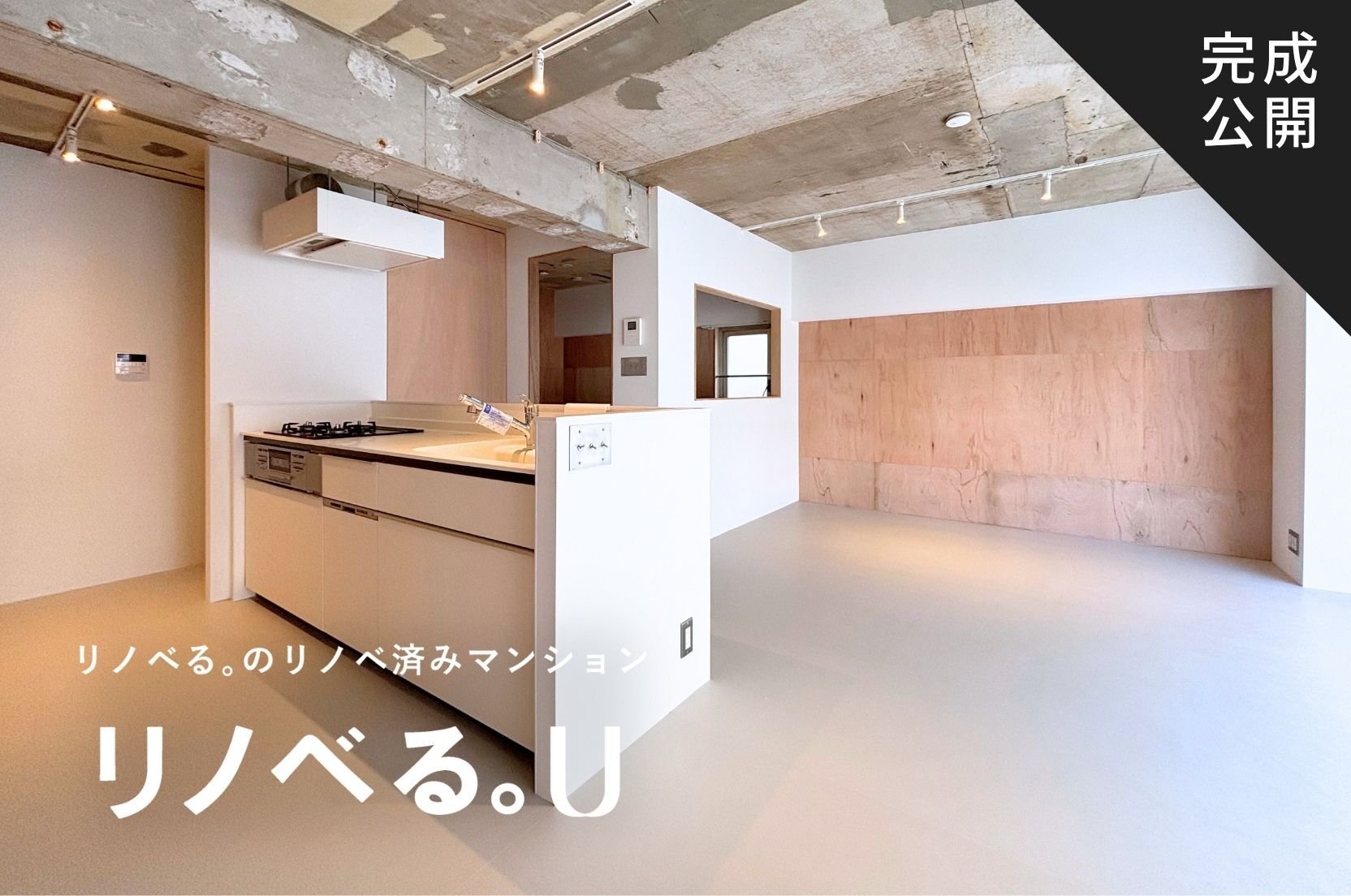 神楽坂ハウス_LDK完成公開