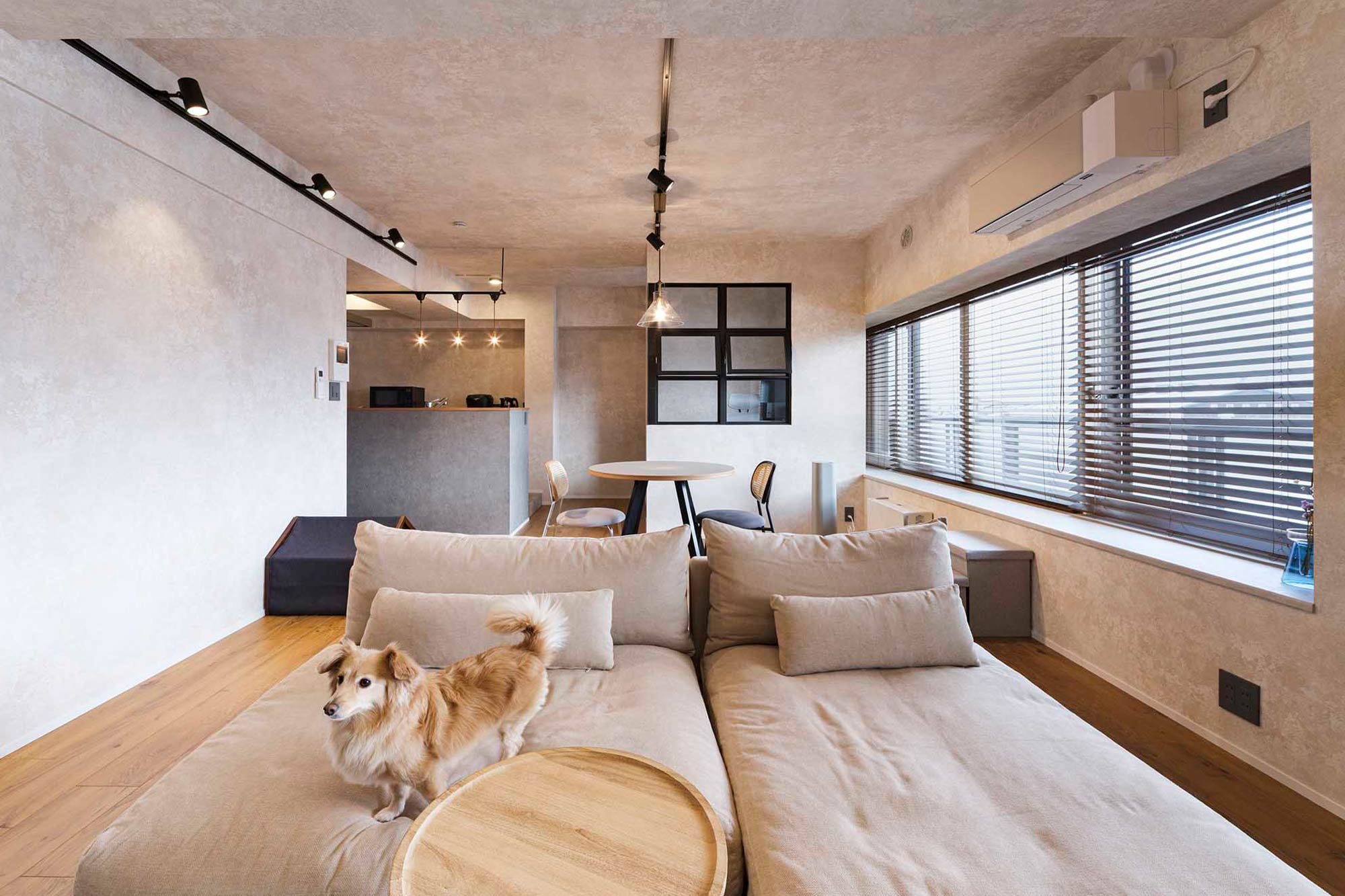 renovation406-ldk&dog