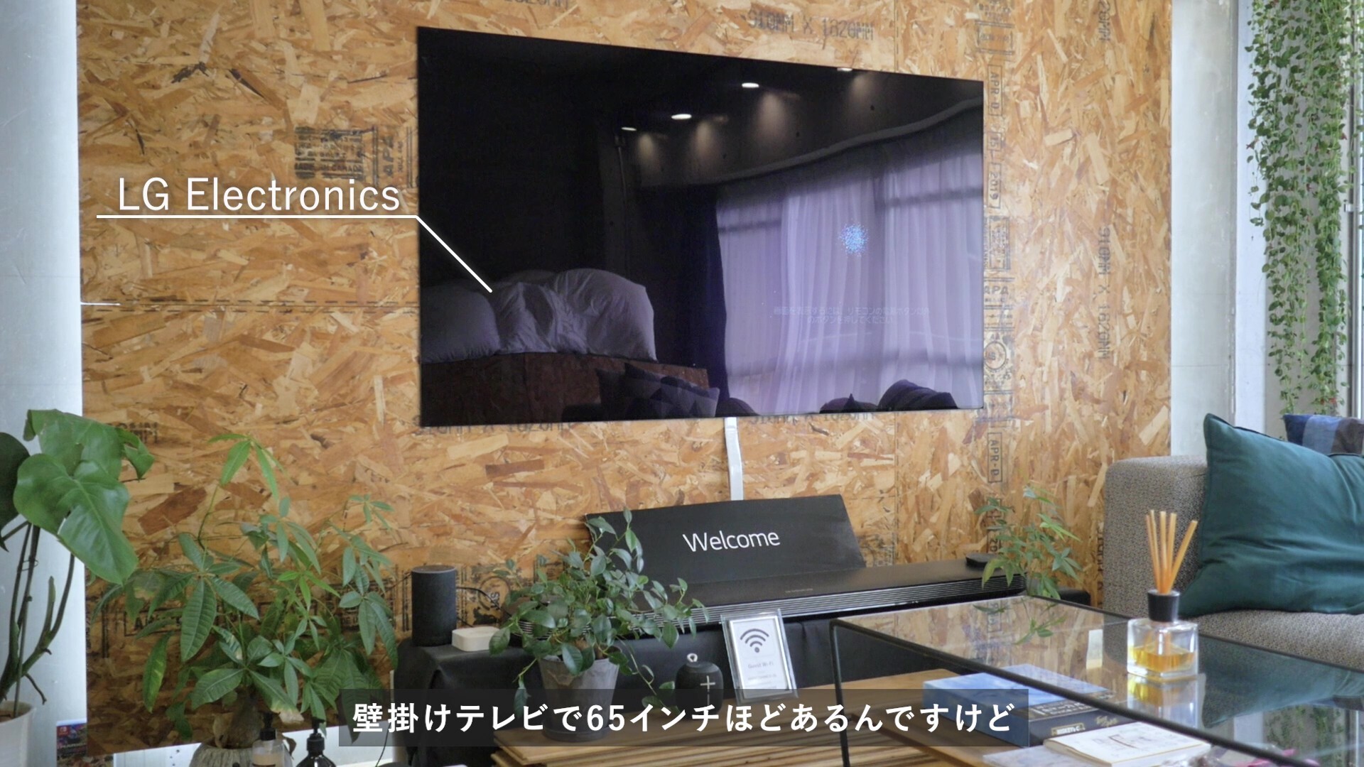 TV