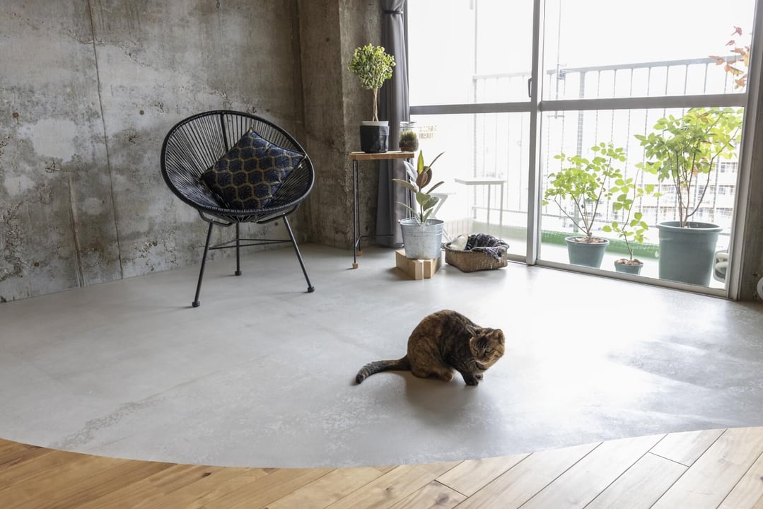 猫リノベ｜巣ごもりしたくなる猫と暮らすリノベーション