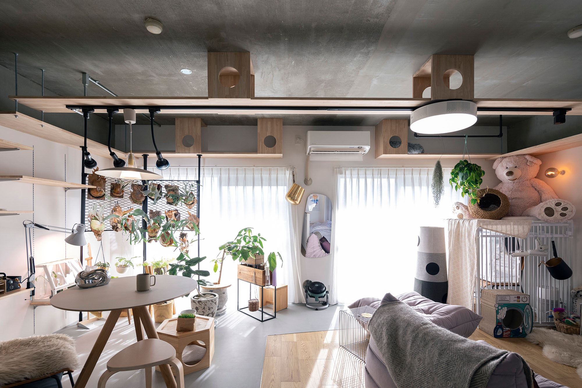renovation397-ldk