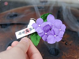 pho_l7