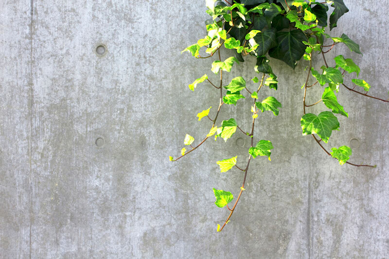 コンクリート打ちっぱなしのメリットとデメリットとは？リノベーション事例も紹介