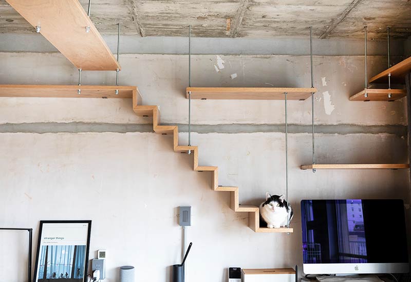 猫リノベ｜巣ごもりしたくなる猫と暮らすリノベーション