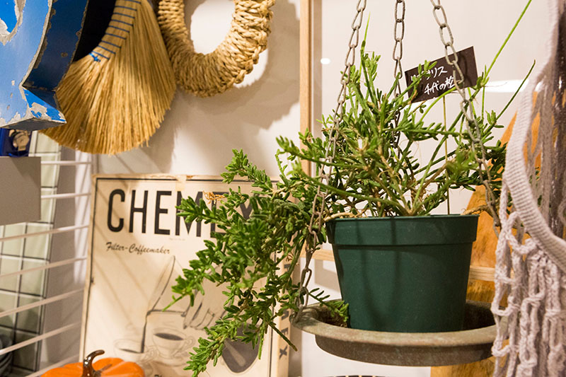 マンションのベランダを楽しくおしゃれに活用するには？ポイントや注意点を紹介