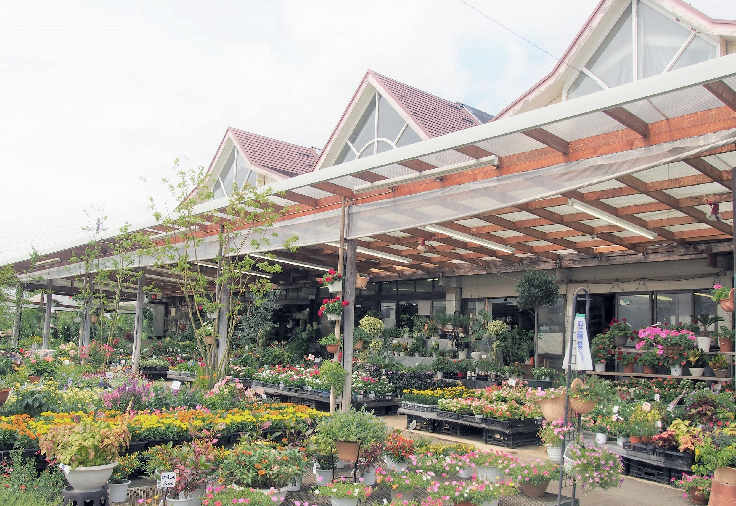 三鷹】ガーデニング好きが絶賛！『榎本園芸』スタッフに聞く、花と緑の