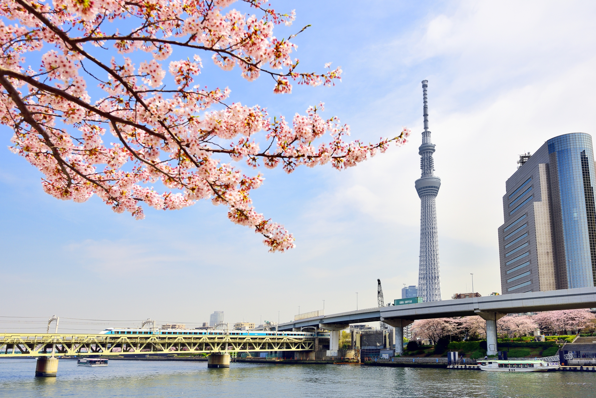 【隅田川さんぽ】春うらら。桜の時期に訪れたい、お花見散歩スポット
