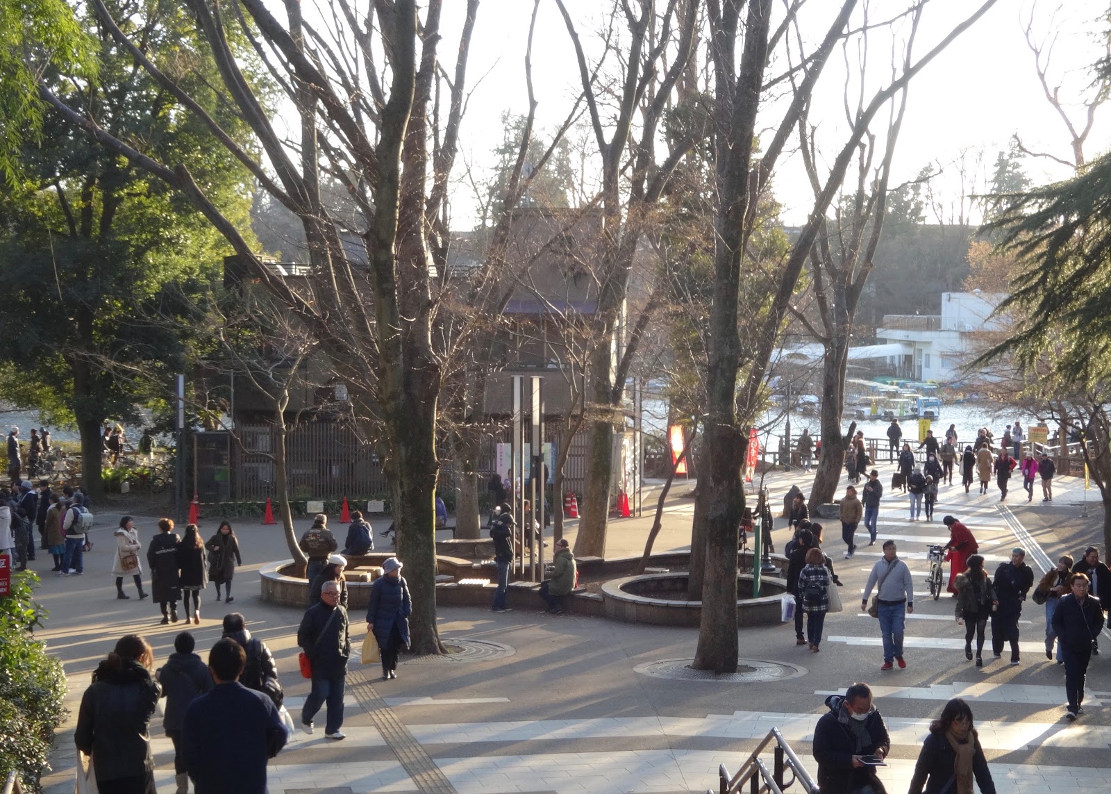 【吉祥寺】井の頭公園「アートマーケッツ」の楽しみ方