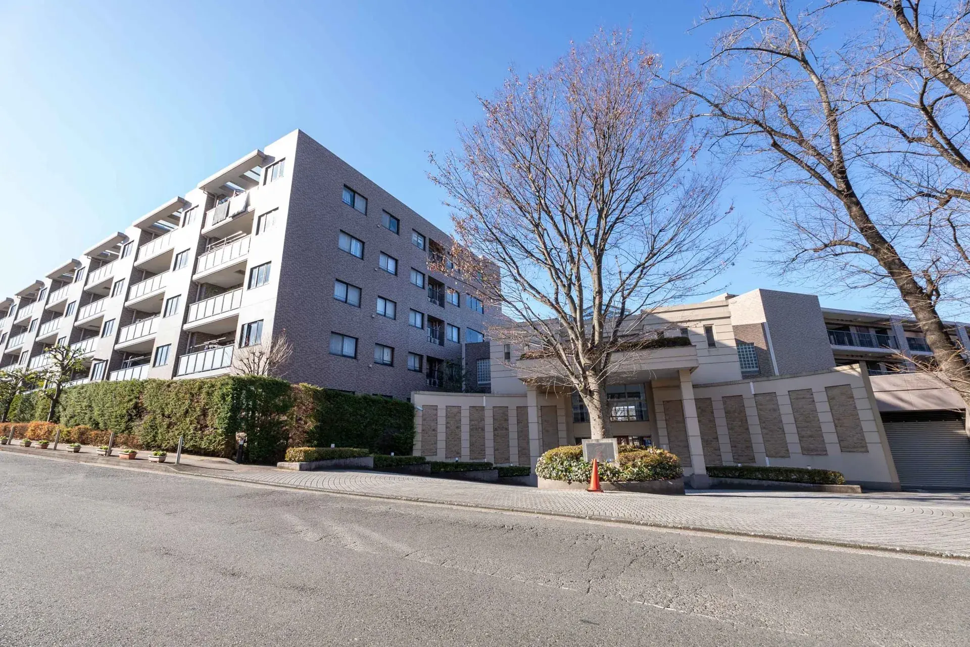 （開発用）テスト記事（３）